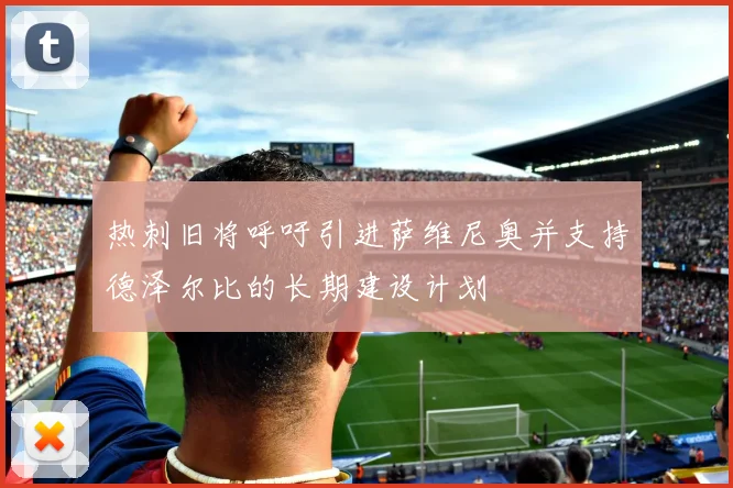 热刺旧将呼吁引进萨维尼奥并支持德泽尔比的长期建设计划